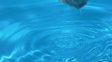 Döngülü cam arkaplan