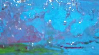 Suda kırmızı ve yeşil biber