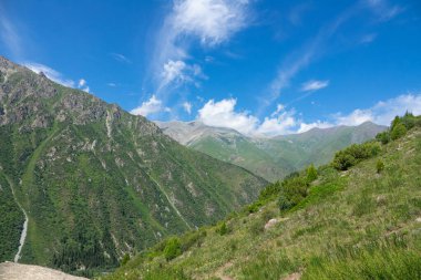 Yazın güzel dağ manzarası