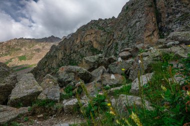 Büyük kayalık kayalıklar