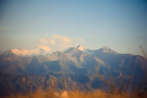 Widok Góry Przez Suchą Trawę — Zdjęcie stockowe