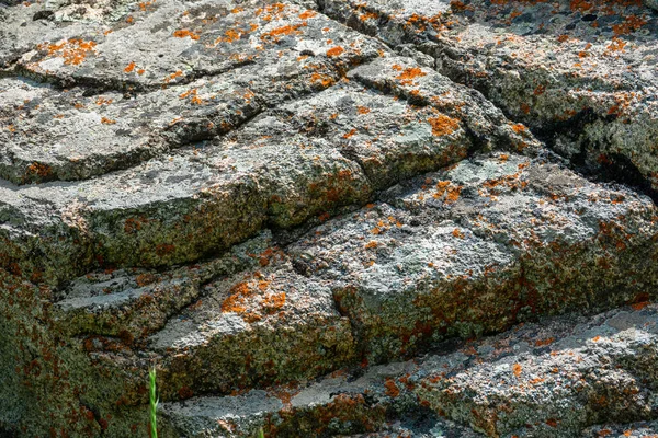 Textura Piedra Con Musgo Rojo —  Fotos de Stock