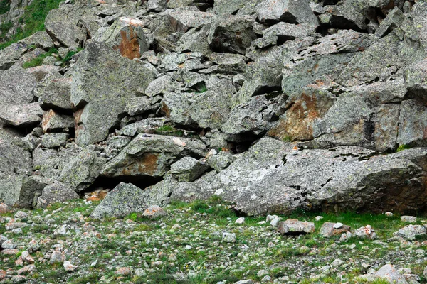 緑の苔を持つ石の質感 — ストック写真