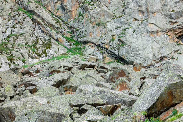 Textura Piedras Montaña Verano —  Fotos de Stock