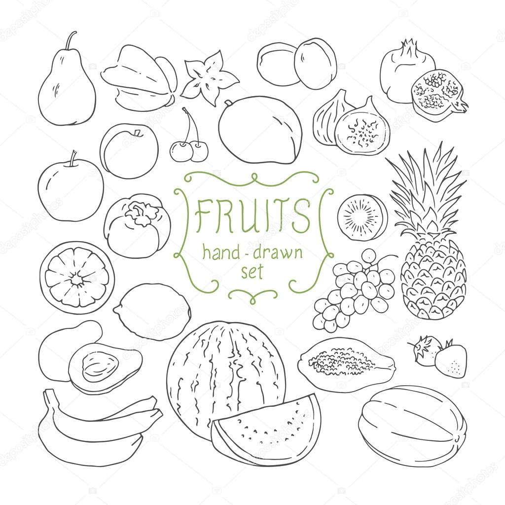 Hand drawing fruit set. Vector illustration.
