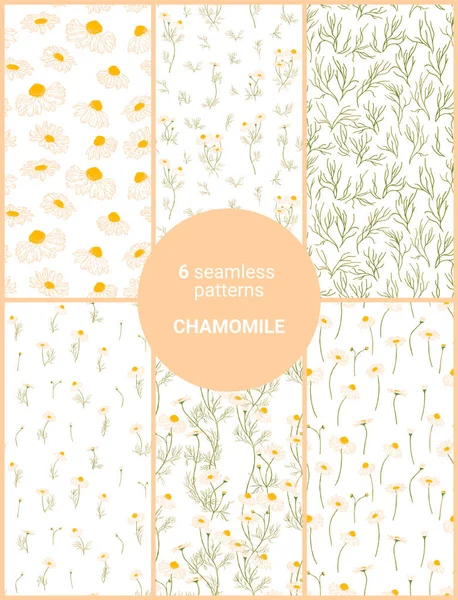 Set of six seamless patterns of hand-drawn chamomiles in gentle colors. Isolated on white — Stock Vector