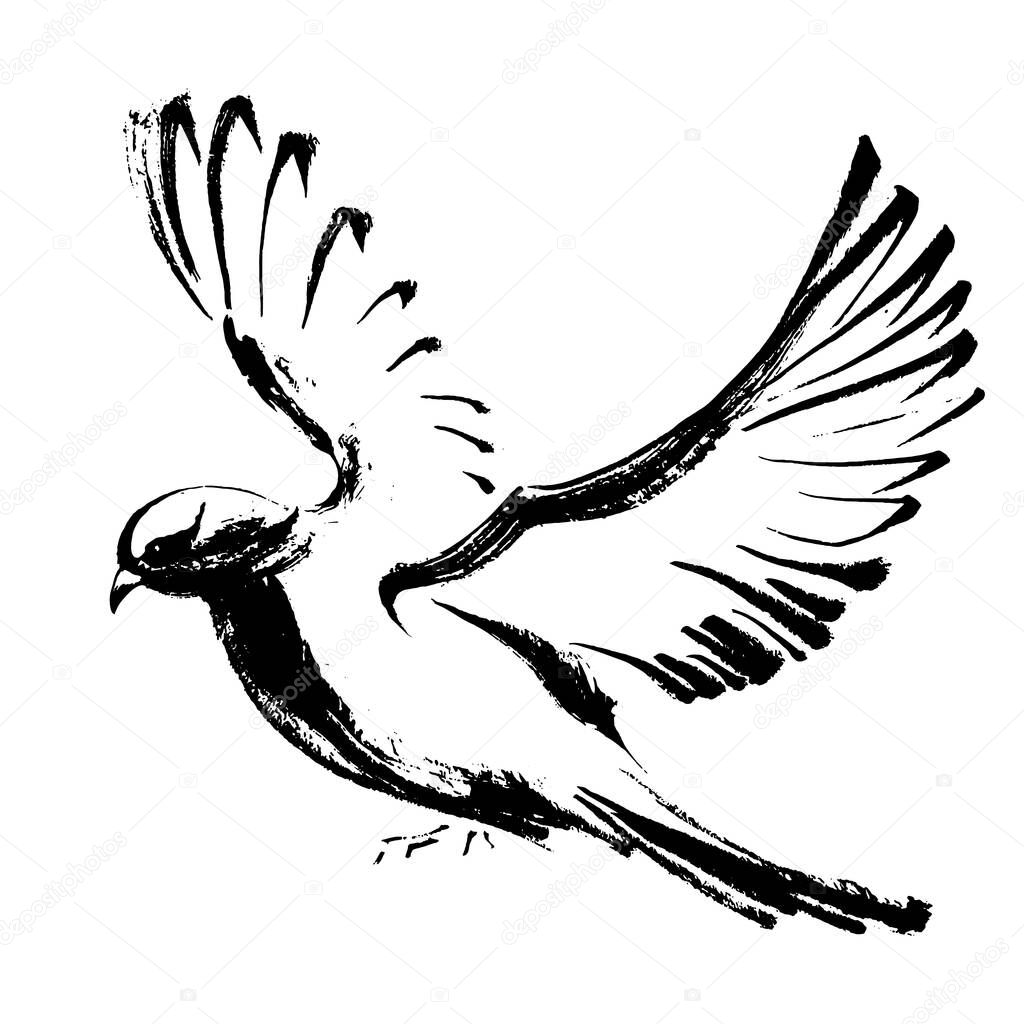Flying dove hand-drawn in black ink. Black and white graphics. Vector illustration