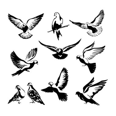 On güvercin seti uçuyor. Logo şablonu ya da simgesi dünyanın özgürlüğünün ya da posta yoluyla teslimat ve dövmenin izole edilmiş sembolü. Vektör illüstrasyonu
