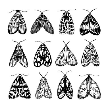 12 güve seti. Siyah ve beyaz vektör çizimi siyah mürekkeple çizilmiş. Vektör illüstrasyonu