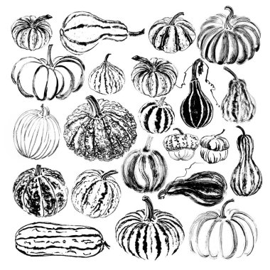 Yirmi iki balkabağı seti. Fırça dokusu. Beyazda izole edilmiş. 