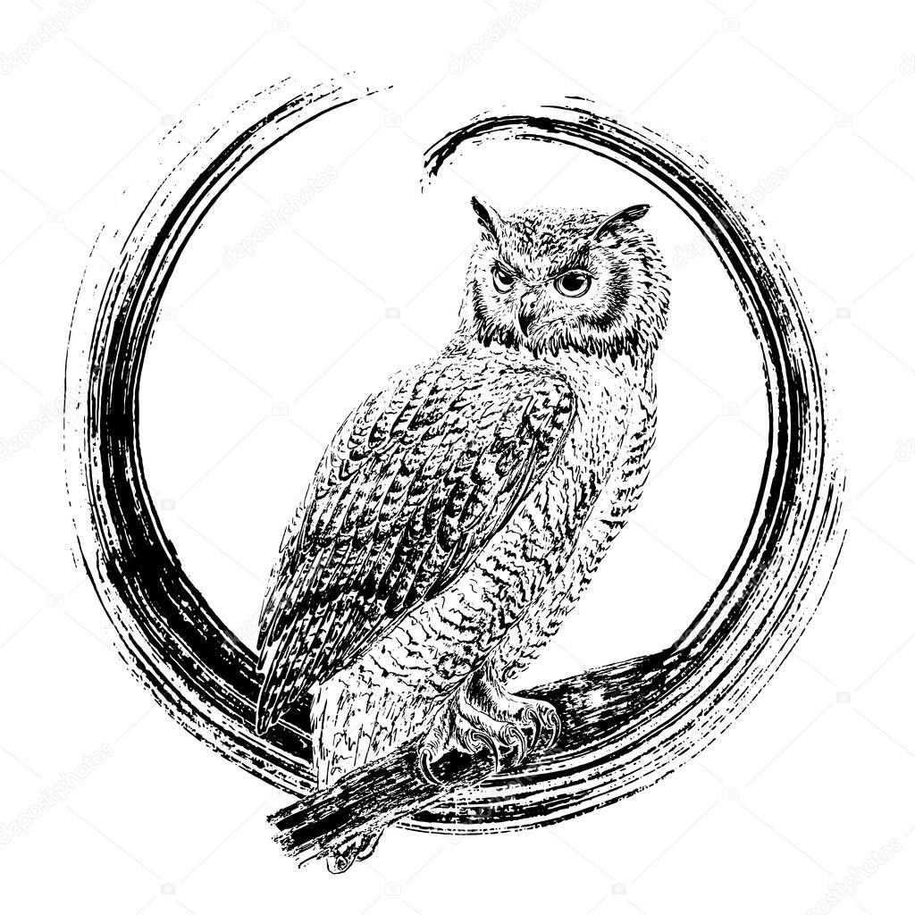 Owl in a circle. The composition is made with a black ink brush. Highly detailed artistic graphics. Vector illustration