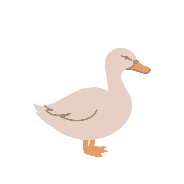 Canard dans un style plat coloré. Pour logo, icônes, emblèmes, gabarits, badges. Illustration vectorielle — Image vectorielle