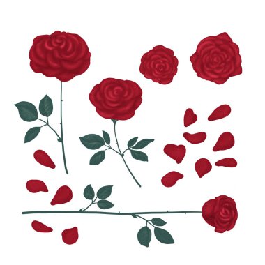 Çizilmiş güllerin parlak kırmızı renkleri