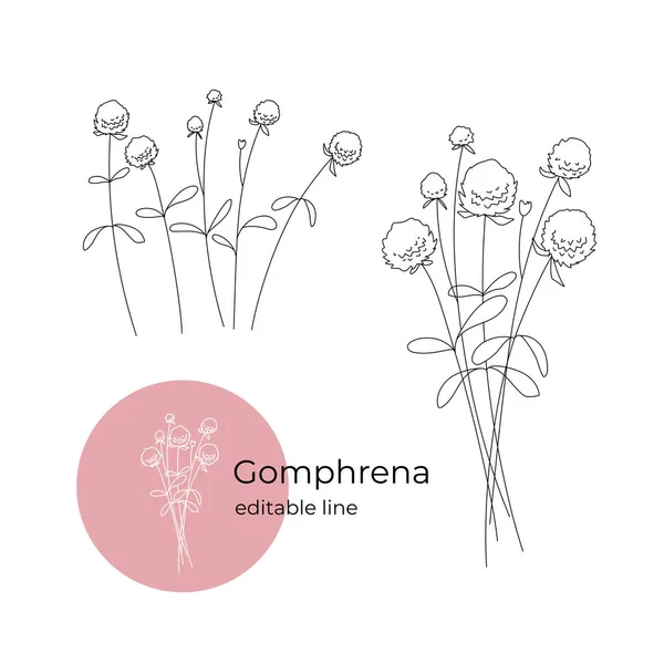 Flor de Gomphrena dibujada en un estilo minimalista con una línea. Parte de la colección de flores secas. Línea editable. — Archivo Imágenes Vectoriales