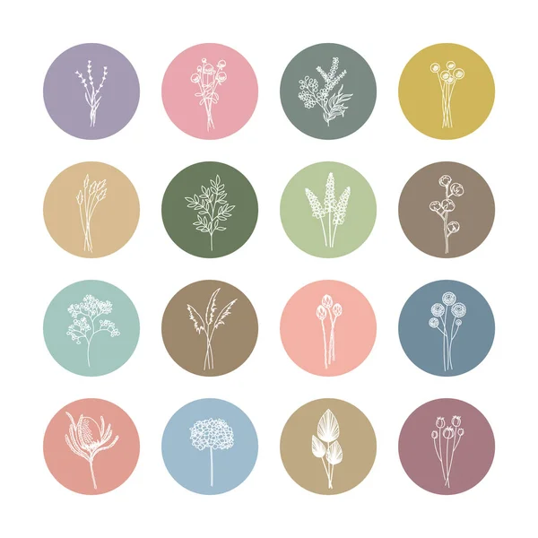 Lavanta, Gomphrena, Eucalyptus, Craspedia, Lagurus, Ruscus, Cotton, Gypthe, Pampas, Proteas, Echinops, Banksia, Hydrangea, Palm, Nigella. Düzenlenebilir satır. 