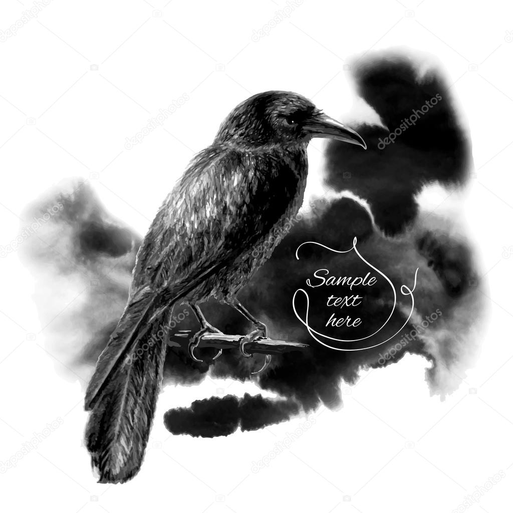 The raven sitting on a branch. Vector illustration