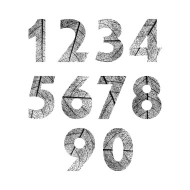 Numaraları dokulu yaprakları yapılmış. Vektör çizim.