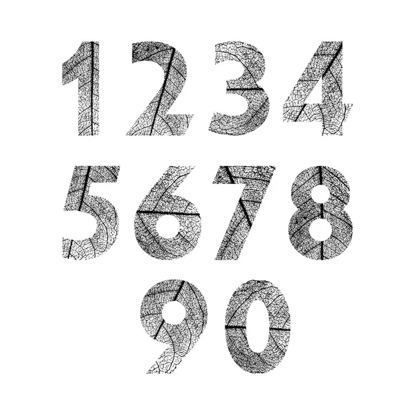 Числа делали текстурированные листья. Векторная иллюстрация . — стоковый вектор