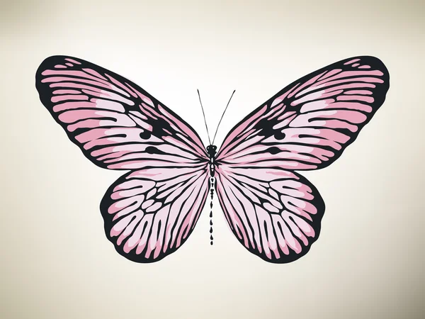 Mariposa. Ilustración vectorial — Vector de stock