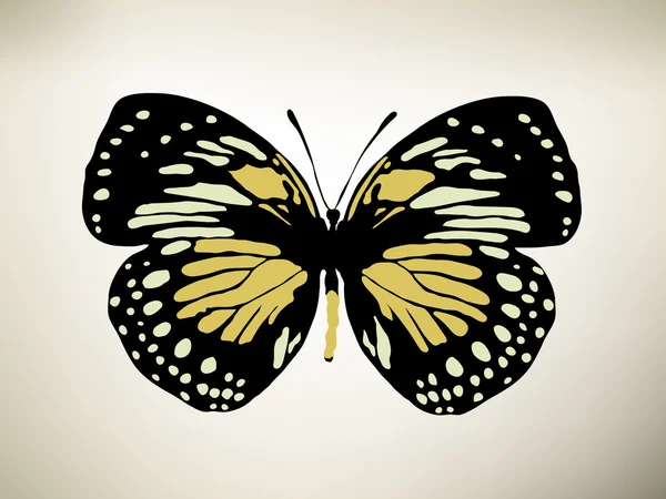 Метелик. Векторні ілюстрації — стоковий вектор