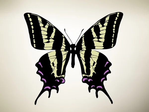 Papillon. Illustration vectorielle — Image vectorielle