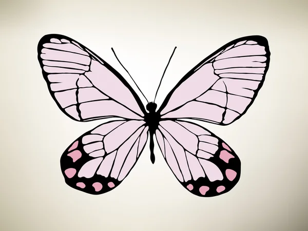 Gran colección de mariposas de colores. Vector — Vector de stock