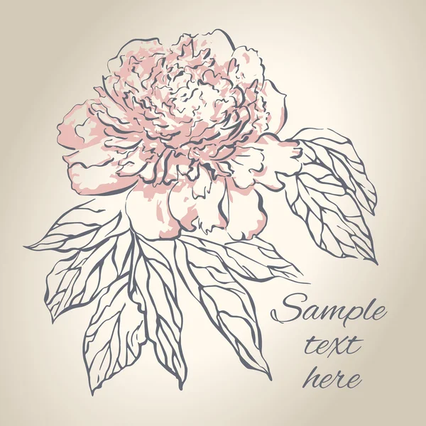 Hand drawing peony flower. Vector illustration