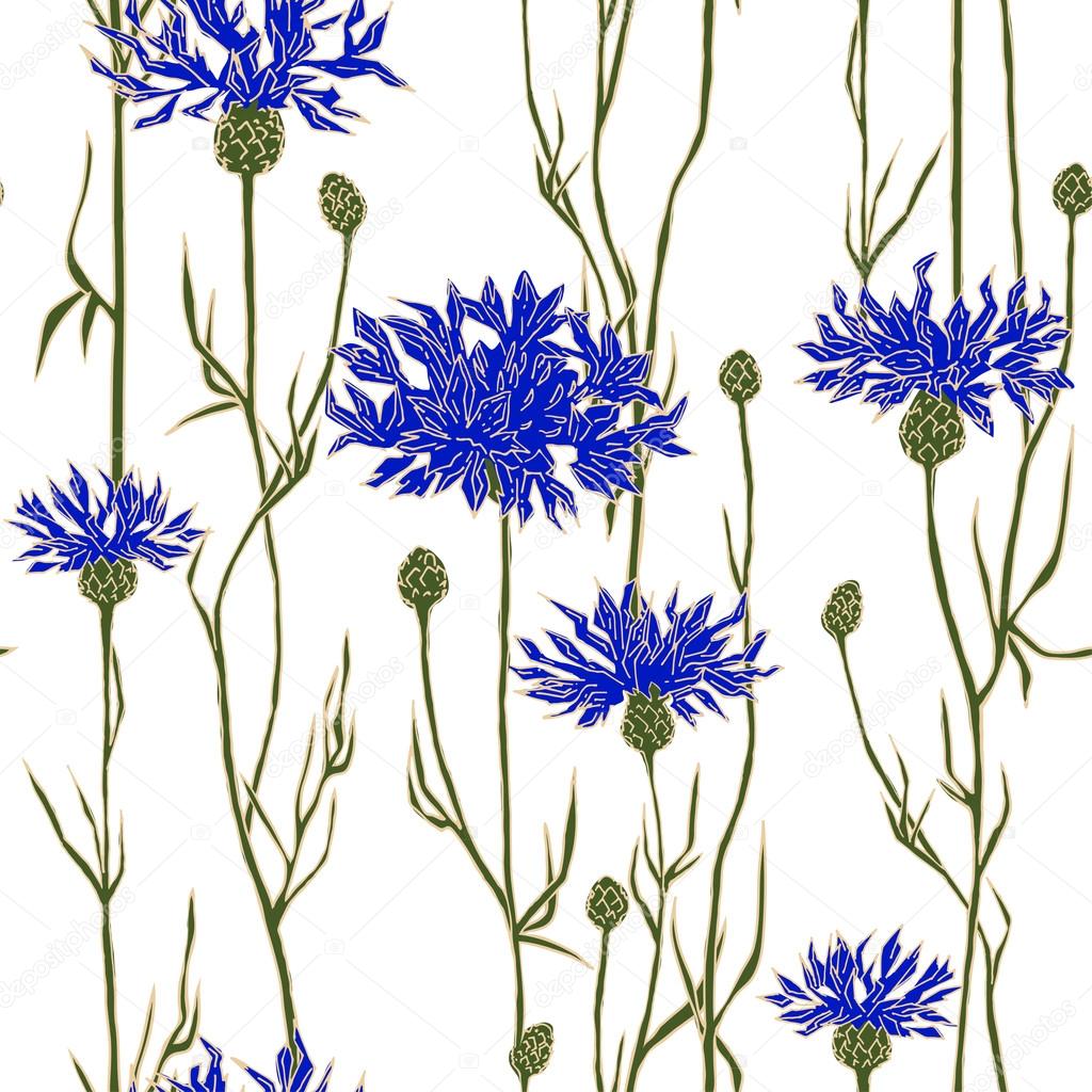 Seamless pattern with cornflowers. Hand-drawn vector illustration.
