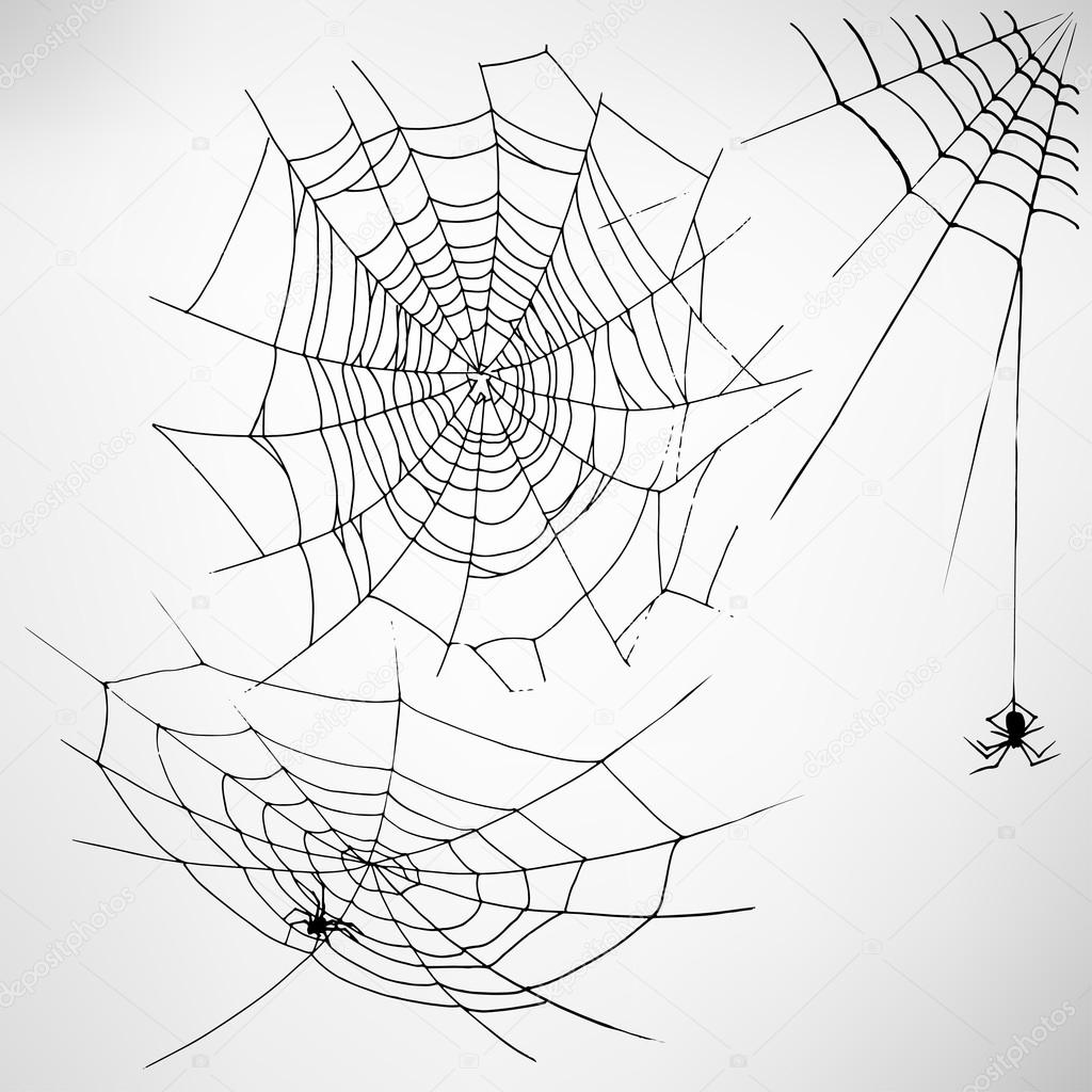 Black cobwebs with spiders. Vector illustration