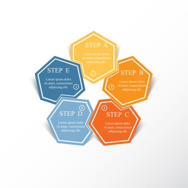 Infographic vektör