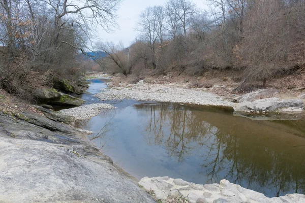 Deel van droge rivier in het bos in het voorjaar — Stockfoto