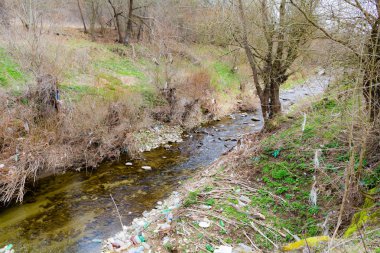 Bahar sırasında ormanda kuru dere parçası