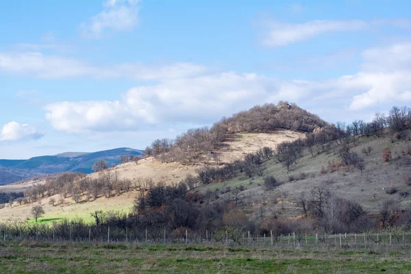 Лес, метеоры и деревья весной, Болгария — стоковое фото