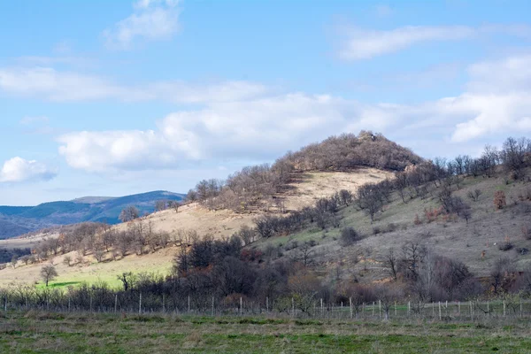 Güzel orman, çayır ve ağaçlar ilkbaharda, Bulgaristan