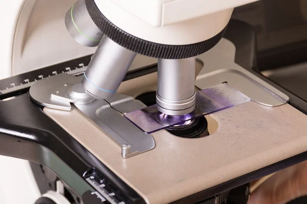 Tıbbi ya da bilimsel araştırmacı test tüpleri ve donanımı ile laboratuvar ortamında bir mikroskop kullanarak