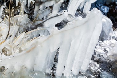 Buz kış göle Bush'larda dondurulmuş