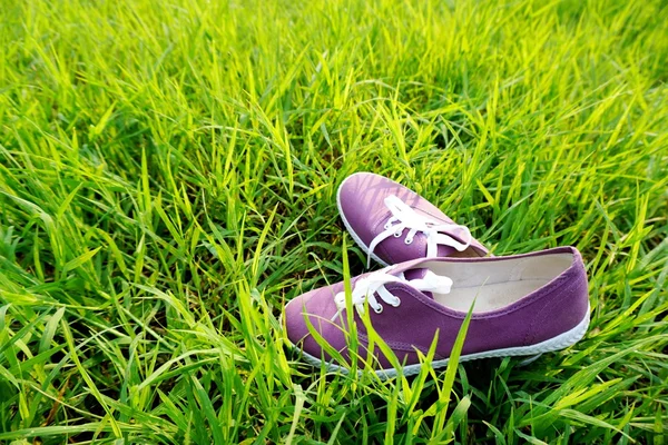 Purple shoes on nature green grass in the morning — Stock Photo, Image