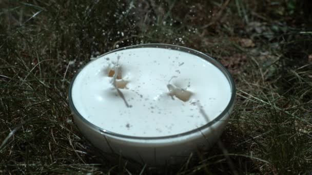 Kersen spatten in melk — Stockvideo