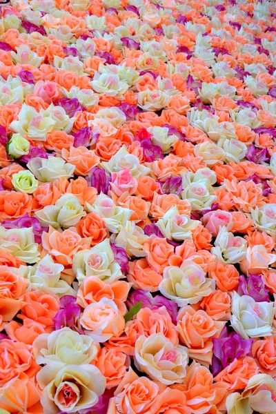 Background of colored roses — Stock Photo, Image