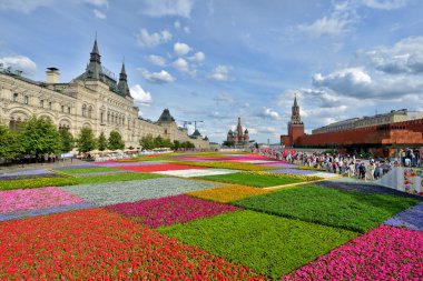 Kızıl Meydan çiçeklenir