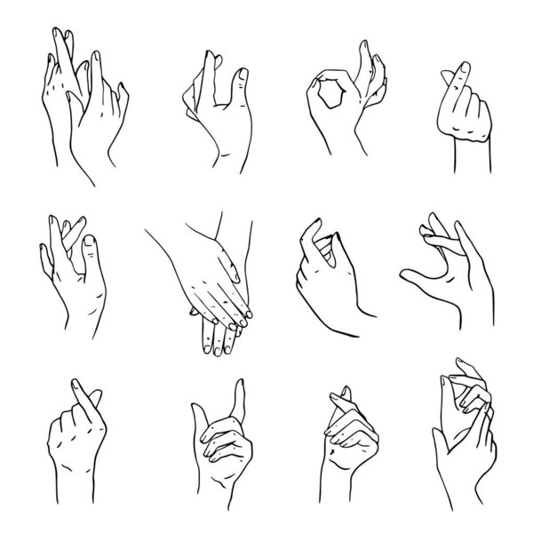 set of realistic gestures hand shape. isolated on white. Geskins hand movements. a sign of love. tenderness. a linear pattern. hand drawing