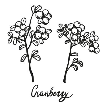 Müzik ögeleri karalama simgeleri ayarlandı. Notalar, enstrümanlar, mikrofon, gitar, kulaklık, davul, müzik çalar ve müzik tarzları harf işaretleri, vektör illüstrasyonu, izole edilmiş