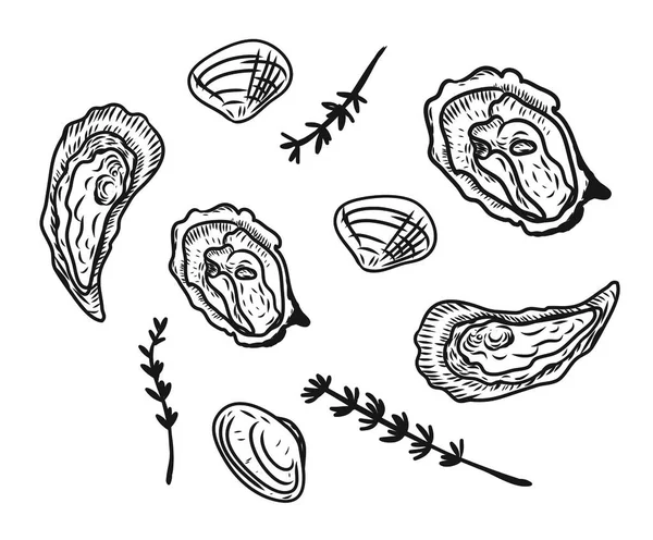Vector vintage mexilhão set desenho. ilustração de frutos do mar monocromáticos desenhados à mão. Ótimo para menu, cartaz ou etiqueta. — Vetor de Stock