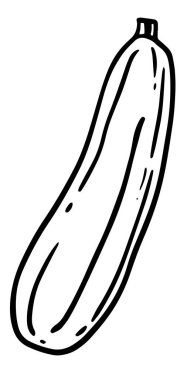 Kabak kabağı elle çizilmiş vektör çizimi. Kabak sebze bileşeni. Beyaz arka planda izole edilmiş kabaklı sağlıklı yiyecekler..