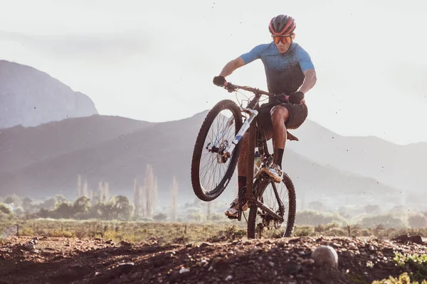 Mountainbiker Trekken Een Wheelie Een Zonnige Dag — Stockfoto