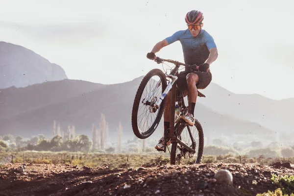 Ciclista Montaña Tirando Wheelie Día Soleado Imágenes De Stock Sin Royalties Gratis