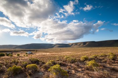 Karoo Çölü