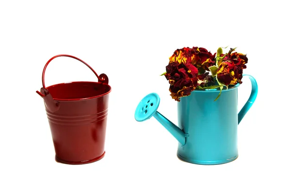 Beyaz bir backg üzerinde gül ile kova ve Bahçe handshower