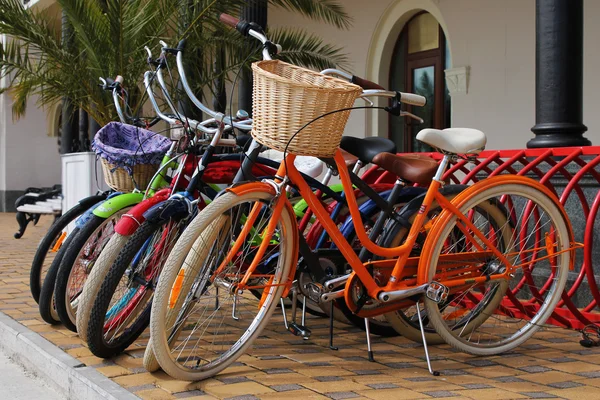 대 여 자전거 — 스톡 사진