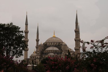 İstanbul 'daki Mavi Cami
